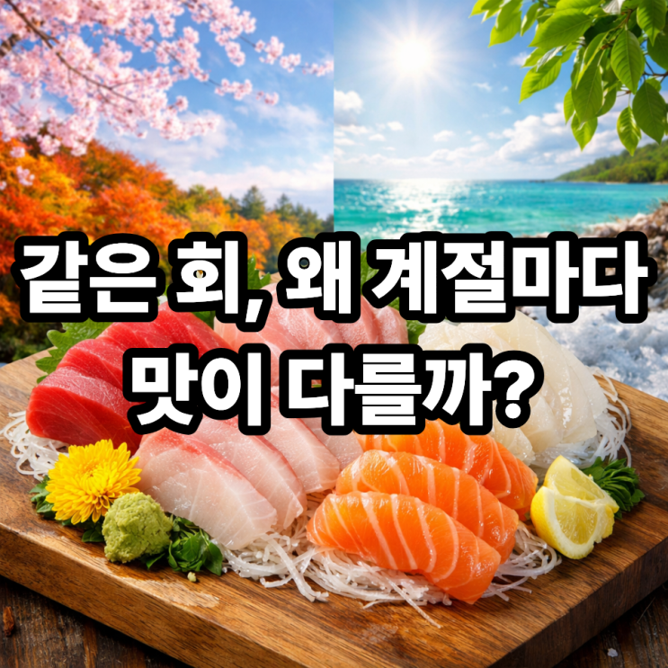  시기별 제철 회 맛 차이 분석｜봄·여름·가을·겨울, 왜 이렇게 다를까?