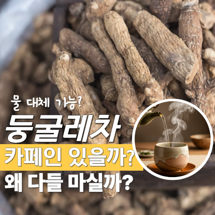  동굴레차 효능 부작용 카페인 물 대체
