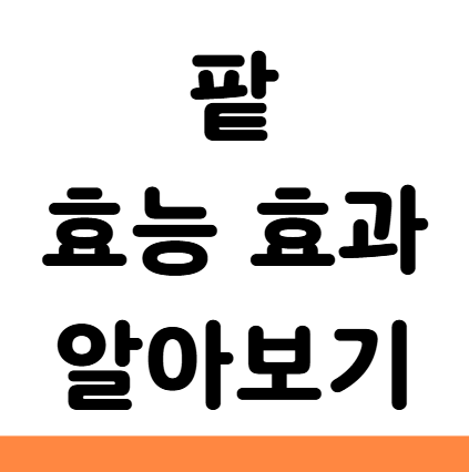  팥 효능 효과 당뇨 신장 성질 부작용