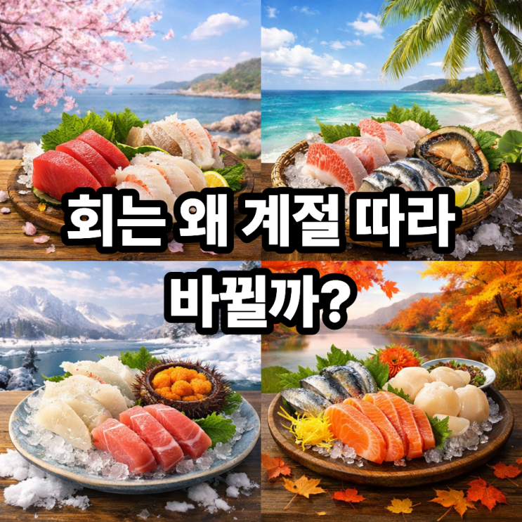  계절이 바뀌면 제철 회도 달라지는 이유｜수온·산란·지방이 만드는 바다의 공식