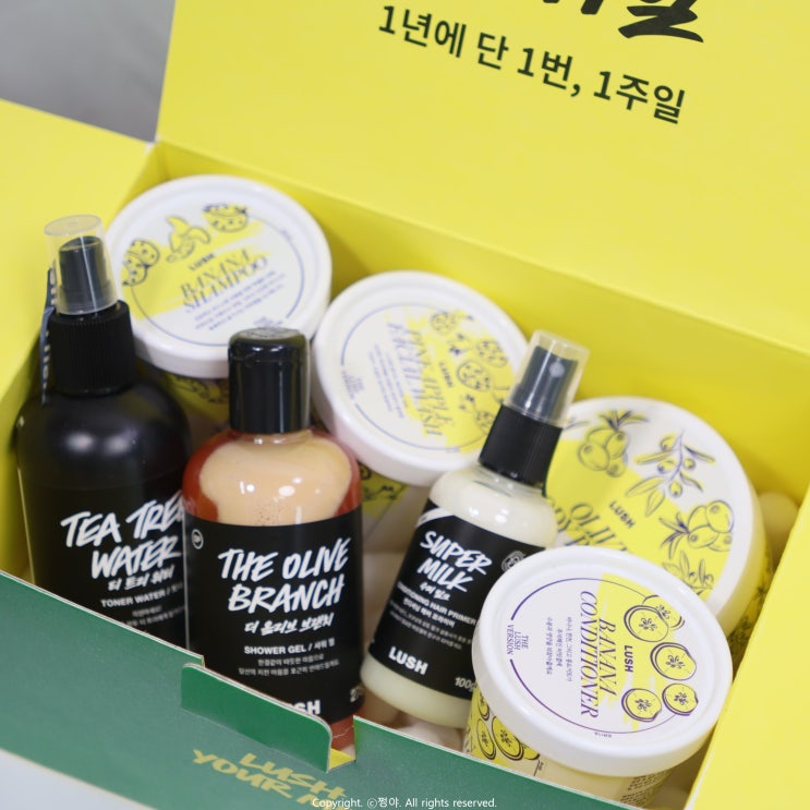  러쉬 세일 추천템 TOP5, 바나나 헤어 팩 샴푸 바디 버터 추천