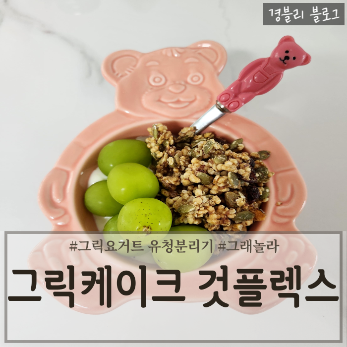  그릭요거트 유청분리기추천 '그릭케이크' 그래놀라 '것플렉스' 내돈내산후기