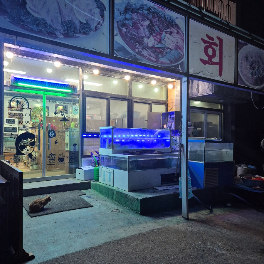 성난파도 사진 2