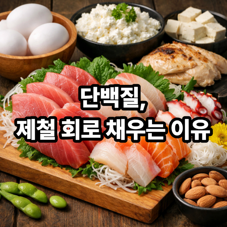   제철 회가 단백질 보충에 좋은 이유｜가볍게 먹어도 몸이 달라지는 선택