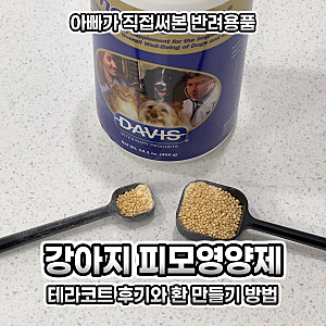 대형견 강아지 내돈내산 털갈이 피모영양제 테라코트 환 만들기 방법과 후기