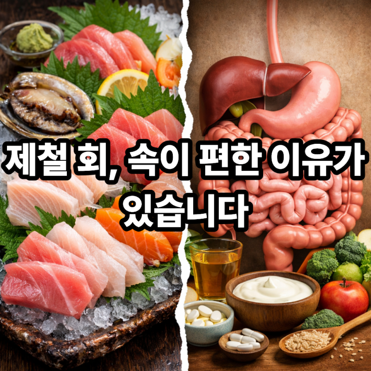   제철 회와 소화 흡수율의 차이｜같은 회, 몸의 반응은 왜 다를까?