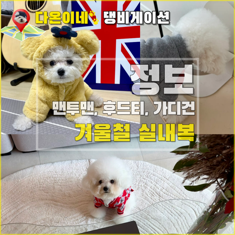 겨울철 강아지 실내복 맨투맨, 가디건, 후드티 귀여움 100배