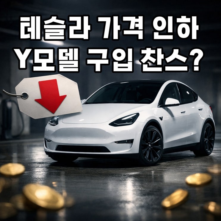  테슬라 할인 Y 모델 구입 찬스?