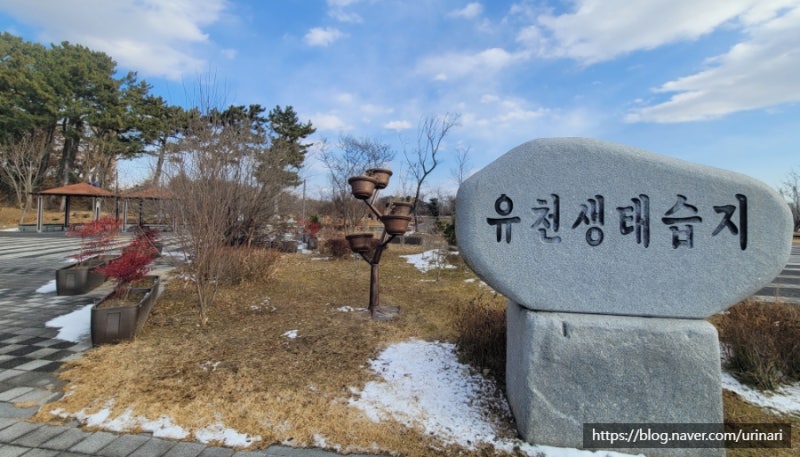 사진 4