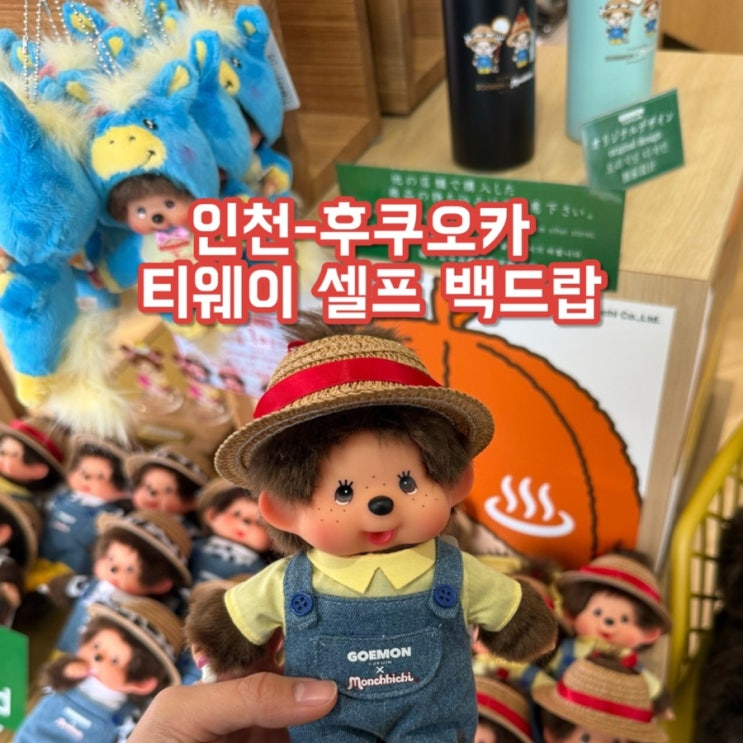  후쿠오카 티웨이항공 왕복 후기 | TW205, TW208 수하물 &  비짓재팬 얼굴등록 오류 해결 (공항 일찍가지 마세요)