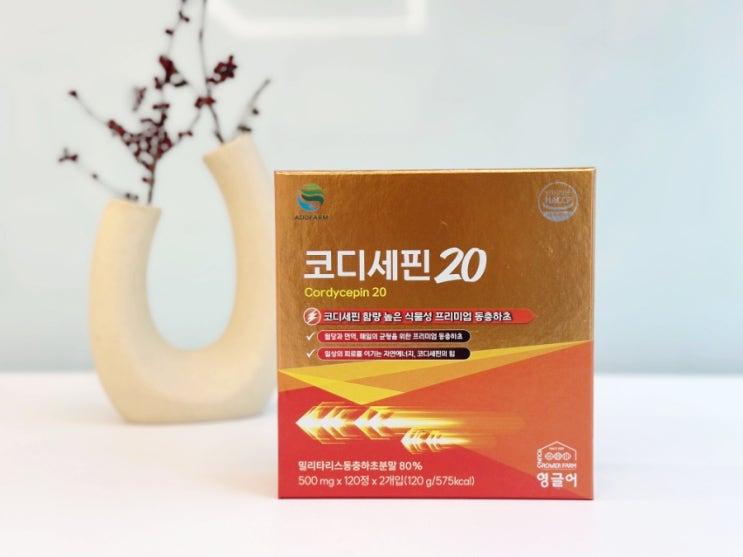  40대 남자 영양제 에드팜 코디세핀 20 기력보충 동충하초 효능 건강보조식품