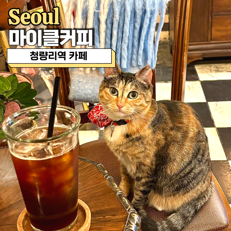  청량리역 근처 카페 마이클커피 고양이 있는 감성 카페