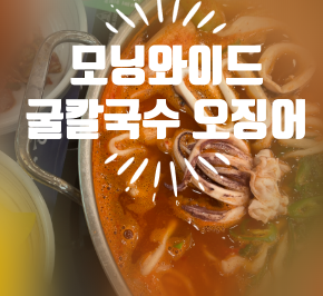 SBS 모닝와이드 맛있는퇴근 굴칼국수 대전 30인분 한정판매 생방송투데이 오징어 칼국수 식당