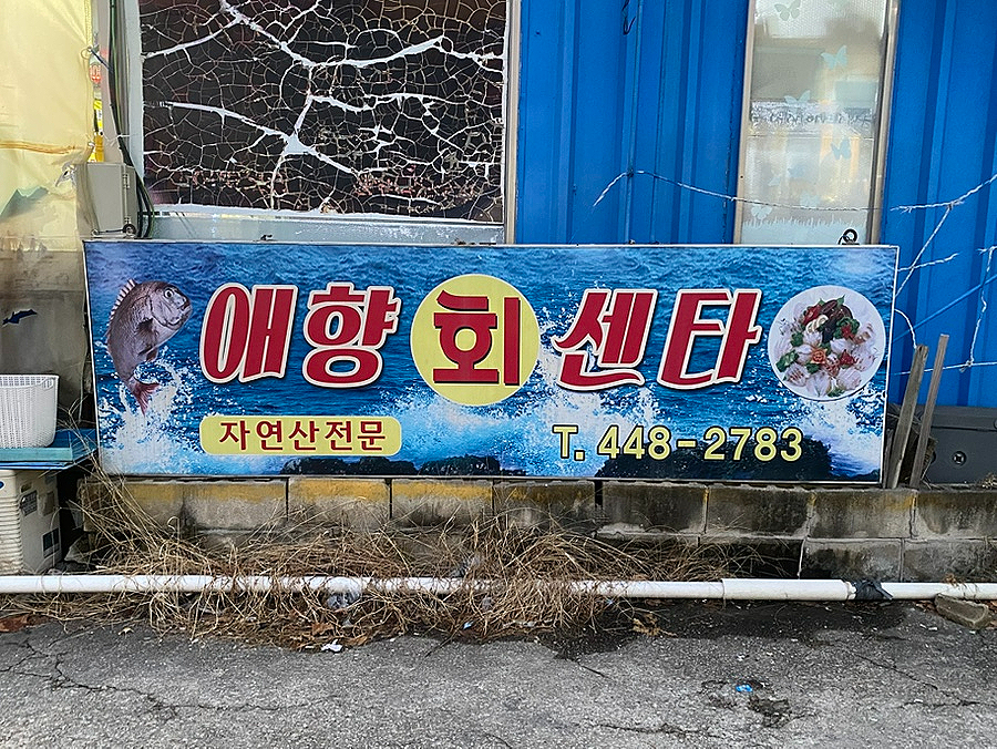 애향회센타 사진 1