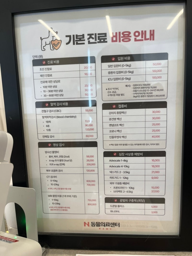 노원 N동물병원 , 복부 이물질 , 진료 솔직후기 (진료비용)