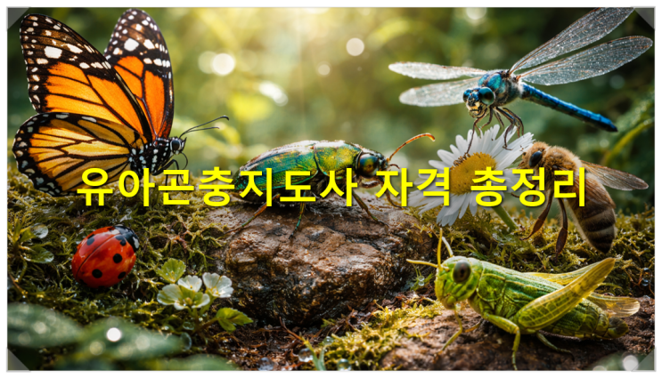  [등록민간자격] 힐링플레이주식회사 유아곤충지도사 자격 정보