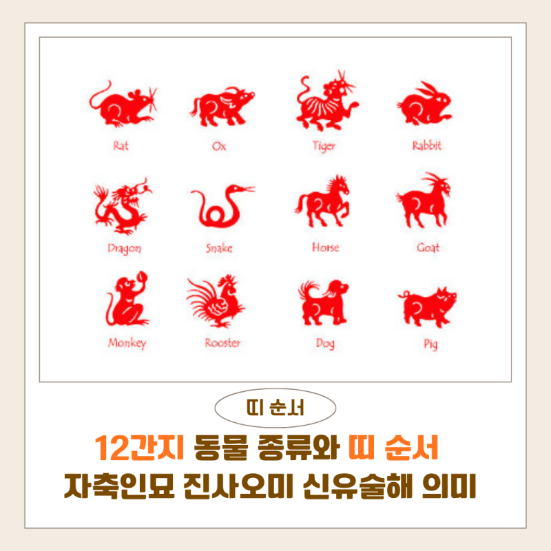 띠 순서·12간지 총정리｜동물 종류와 의미, 자축인묘 진사오미 신유술해 운세 : 네이버 블로그