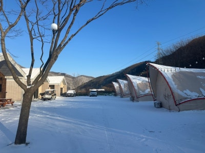 사진 6