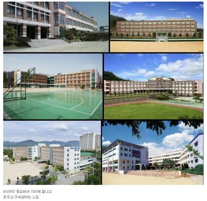  고등학교 행복했다 vs 싫었다.jpg