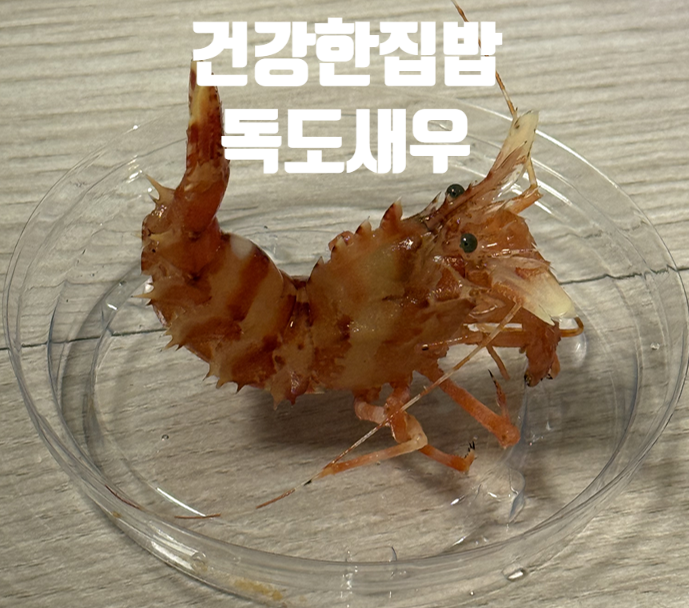 건강한집밥 - 독도새우 3가지 종류 다 먹어본 썰