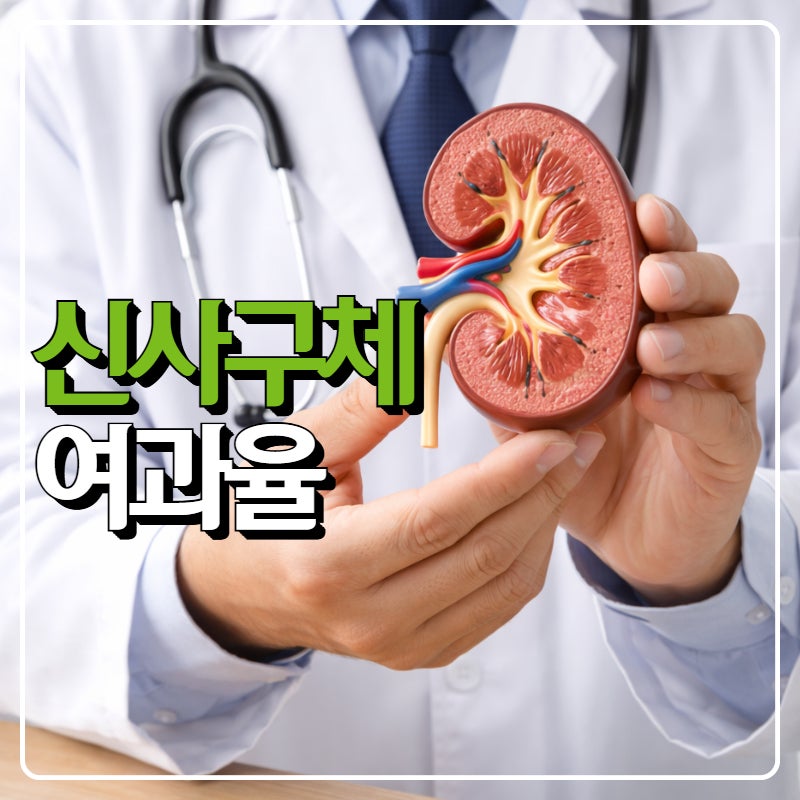 신사구체여과율 수치 높으면 무슨 의미?