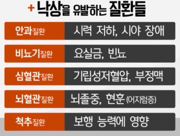 척추측만증에 대해서(뼈) / 허리디스크 / 낙상 골절
