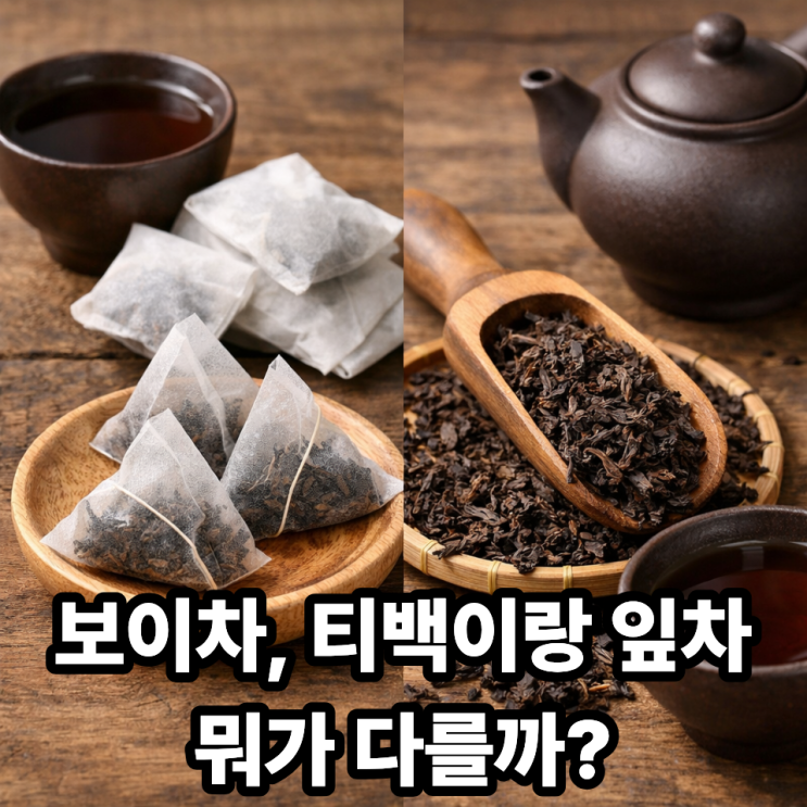  보이차 티백 vs 잎차 차이｜어떤 선택이 더 맛있을까?