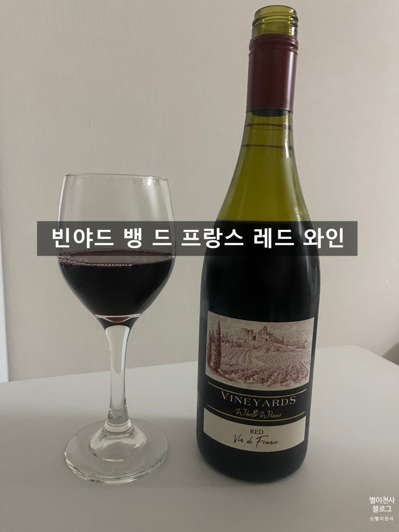 빈야드 뱅 드 프랑스 레드 와인 홈플러스 가성비 와인 추천