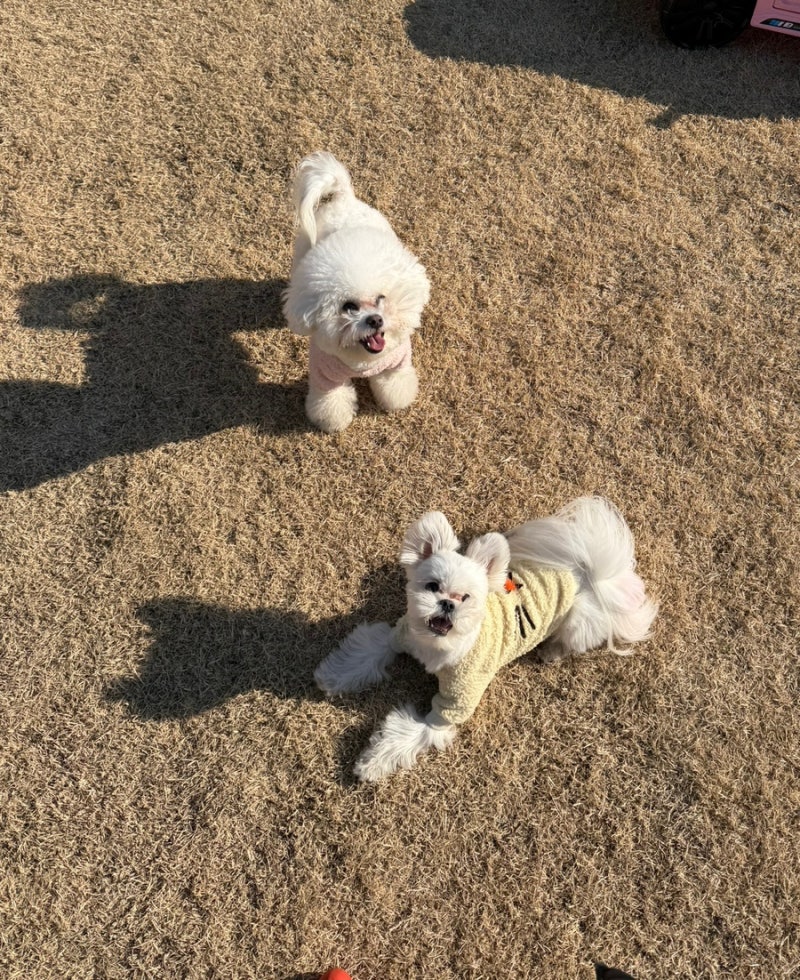 사진 7