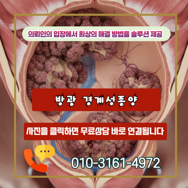  방광 경계성종양 D41.4 일반암 진단비 수령, 손해사정사가 알려주는 핵심 비책
