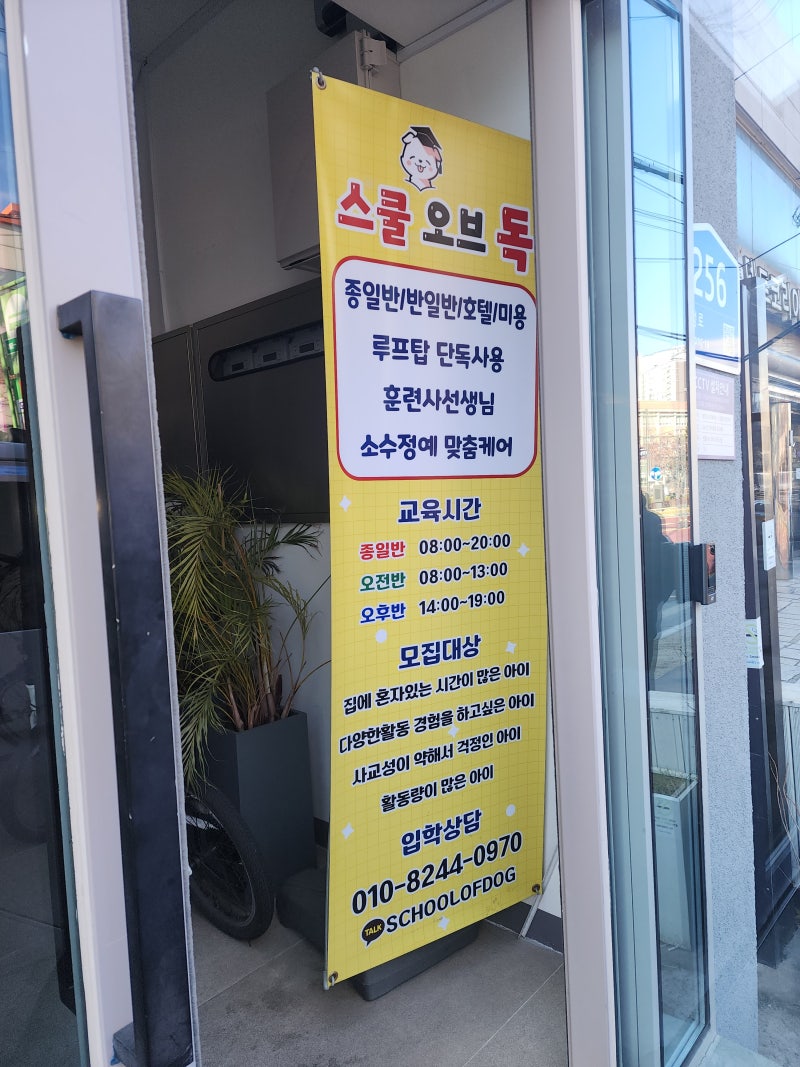 사진 2