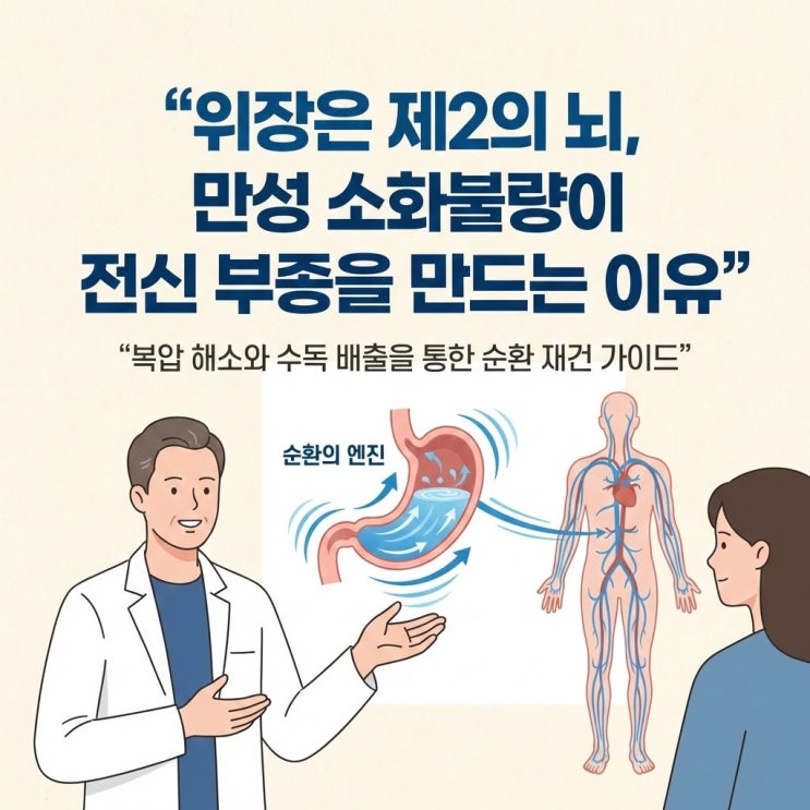  위장은 제2의 뇌: 만성 소화불량이 당신의 전신 부종을 만드는 이유