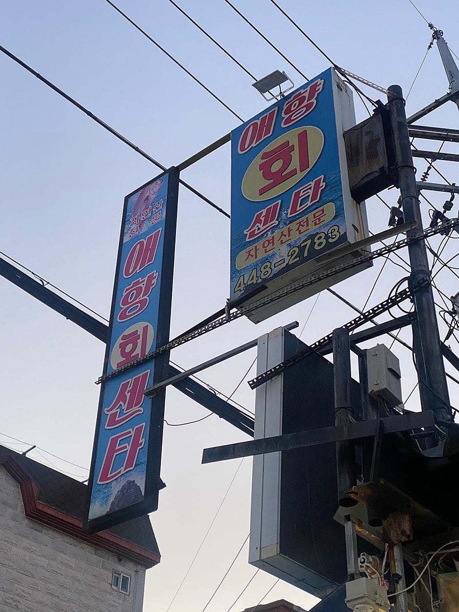 애향회센타 사진 2