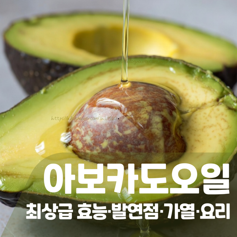 아보카도오일 발연점·효능·최상급 엑스트라버진 퓨어 차이·먹는법
