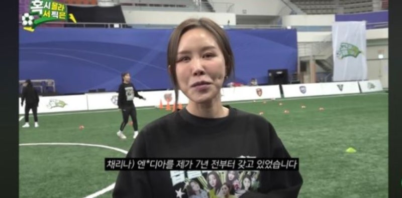 채리나 주식투자 800% 수익률 엔비디아로 대박