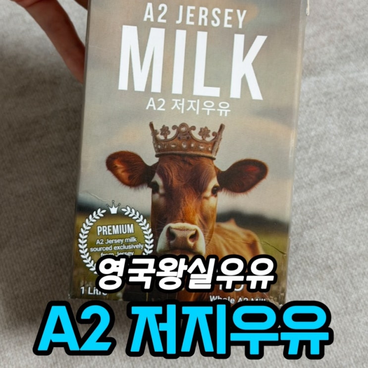  소화 잘 되는 우유 추천｜A2 저지우유, 일반 우유와 뭐가 다를까?