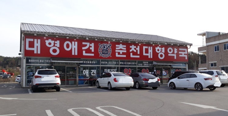 샘밭약국 사진 2