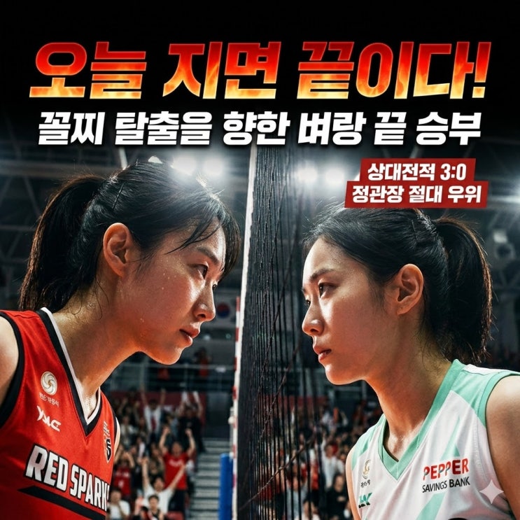  정관장 vs 페퍼저축은행 분석: "승률 70%" 탈꼴찌 향한 대전 단두대 매치