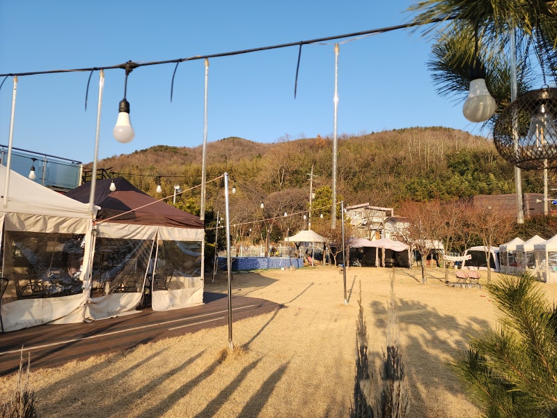 사진 2