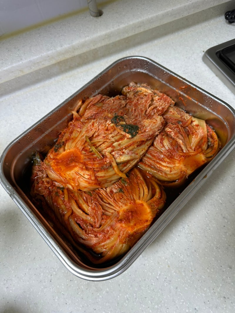 올스텐 데펜소 김치통 공구 구매, 김치냄새 날까?