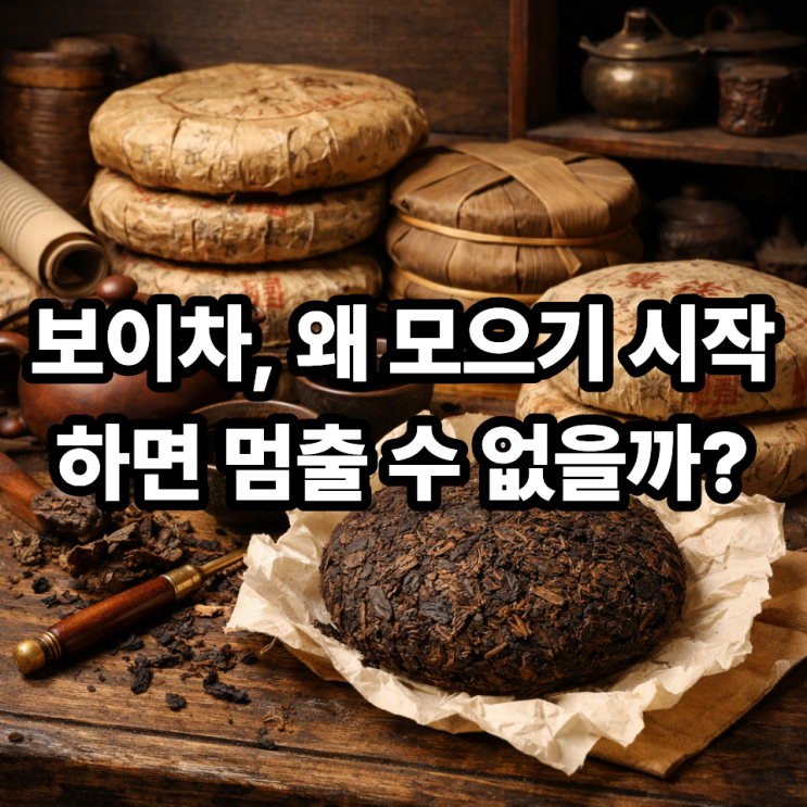   보이차 수집이 취미가 되는 이유｜마실수록 쌓이는 시간의 가치