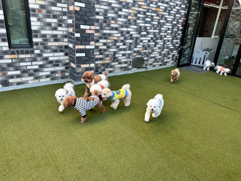 사진 4