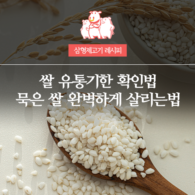 쌀 유통기한 확인법과 냄새 나는 묵은 쌀 완벽하게 살리는 조리 노하우