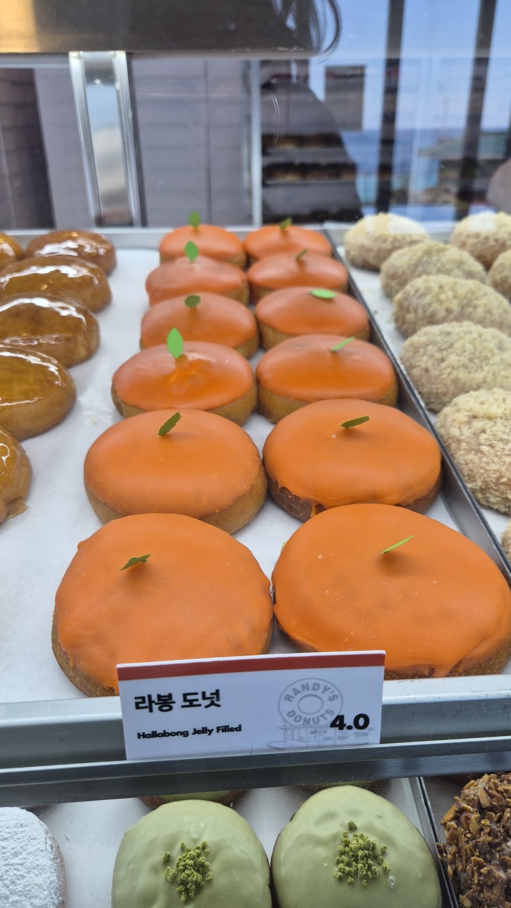  [가시 Food실록] 제주 카페 랜디스 도넛 애월점 리뷰!(제주도 도넛, 산책길, 종류)