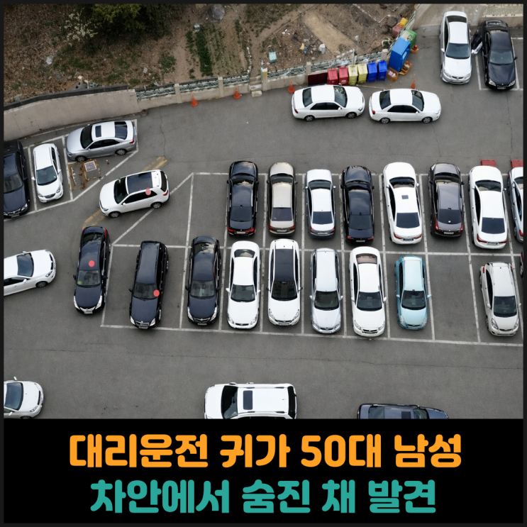  대리운전으로 귀가한 50대 남성, 차량에서 숨져