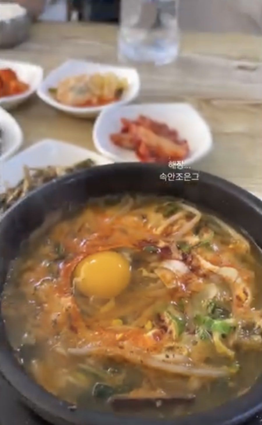 오리너구리 사진 2