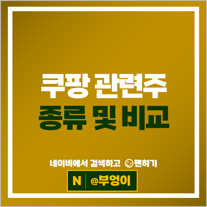 쿠팡관련주 다날 주가 엔비티 오텍 주식