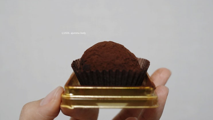  줄 서서 먹는 마곡 두쫀쿠! 스퍼터 카페 솔직 후기와 구매 꿀팁