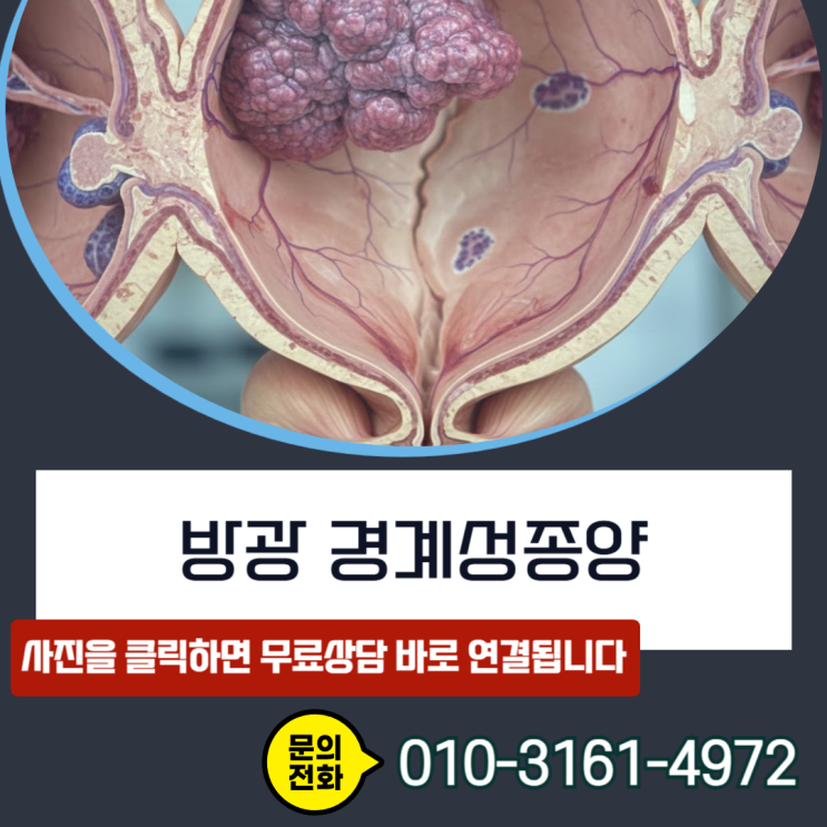  방광 경계성종양 D41.4 보험금,일반암 전액 수령을 위한 손해사정사 실무 전략