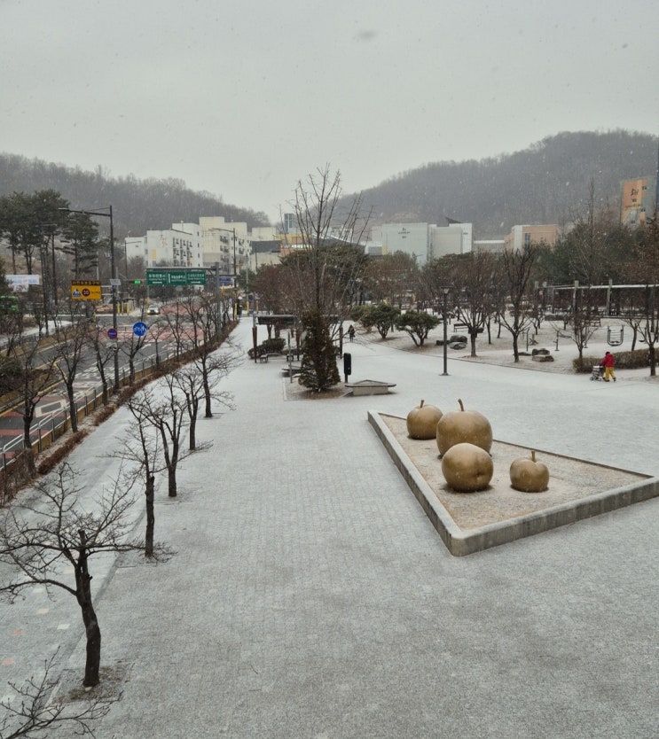 1. 13(화) 경찰관련기사
